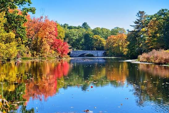 Video production company in Needham MA